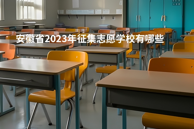 安徽省2023年征集志愿学校有哪些