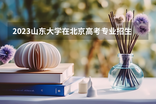2023山东大学在北京高考专业招生计划(历年招生人数)