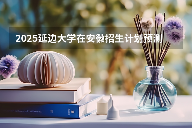 2025延边大学在安徽招生计划预测