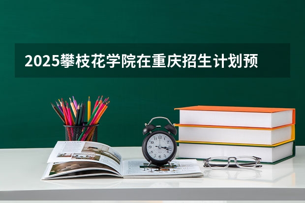 2025攀枝花学院在重庆招生计划预测