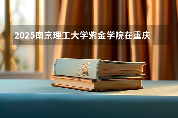 2025南京理工大学紫金学院在重庆招生计划预测