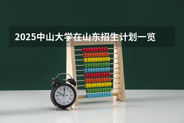 2025中山大学在山东招生计划一览表