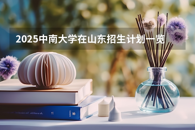 2025中南大学在山东招生计划一览表