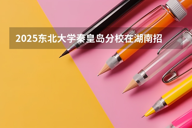 2025东北大学秦皇岛分校在湖南招生计划一览表