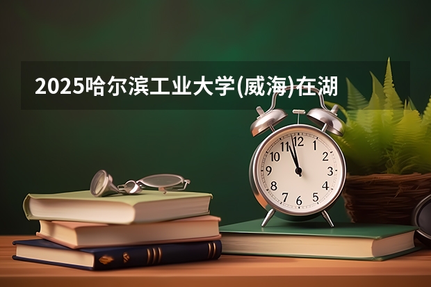 2025哈尔滨工业大学(威海)在湖南招生计划一览表