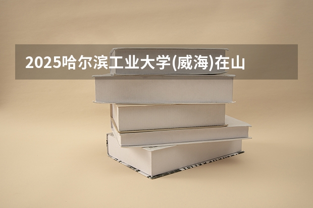2025哈尔滨工业大学(威海)在山东招生计划一览表