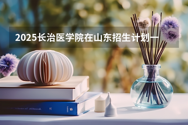 2025长治医学院在山东招生计划一览表
