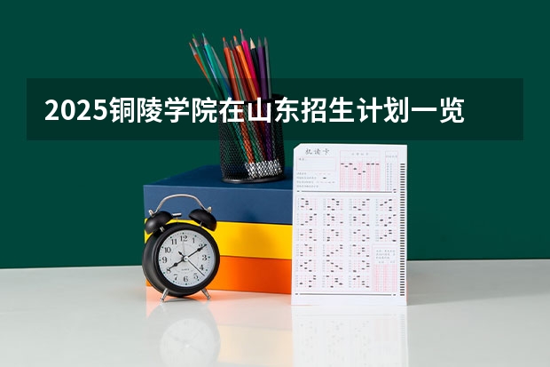 2025铜陵学院在山东招生计划一览表