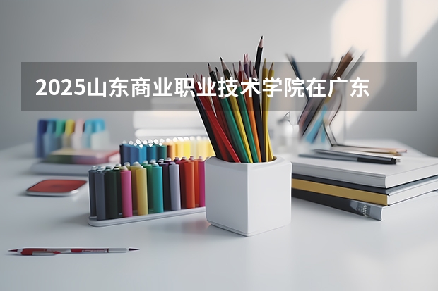 2025山东商业职业技术学院在广东招生计划一览表