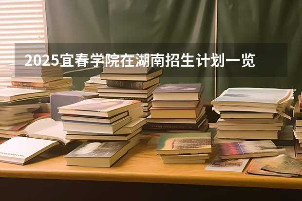 2025宜春学院在湖南招生计划一览表