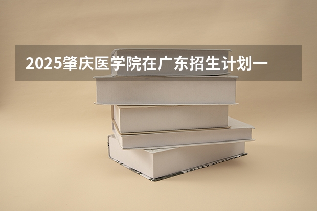 2025肇庆医学院在广东招生计划一览表