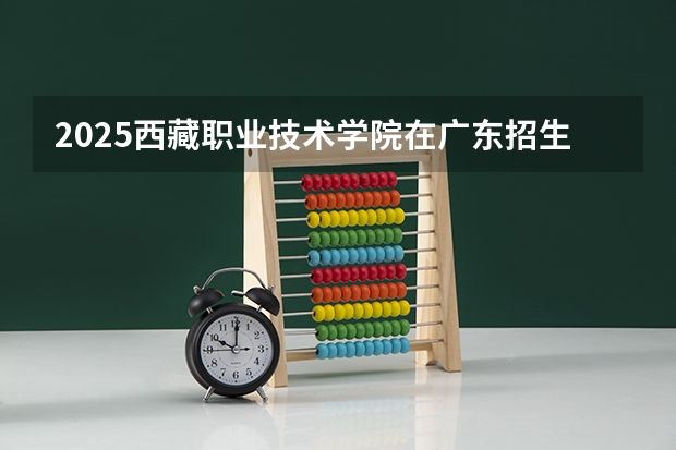 2025西藏职业技术学院在广东招生计划一览表
