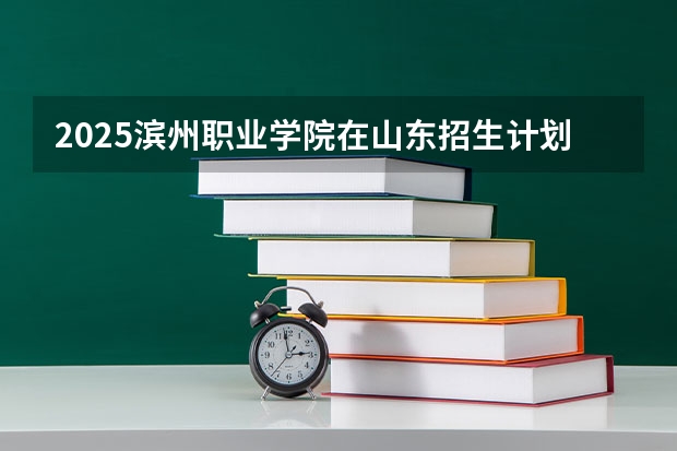 2025滨州职业学院在山东招生计划一览表