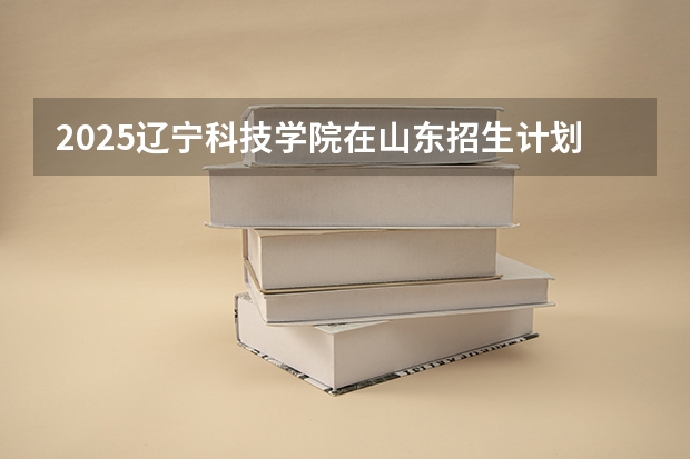 2025辽宁科技学院在山东招生计划一览表