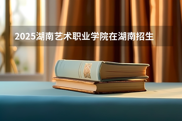 2025湖南艺术职业学院在湖南招生计划一览表