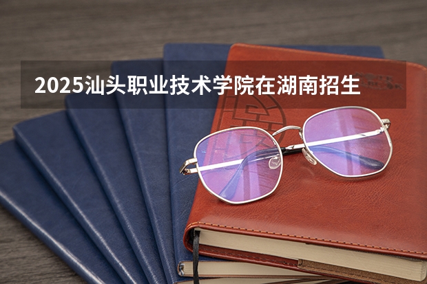 2025汕头职业技术学院在湖南招生计划一览表