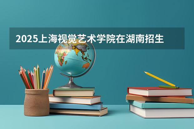 2025上海视觉艺术学院在湖南招生计划一览表