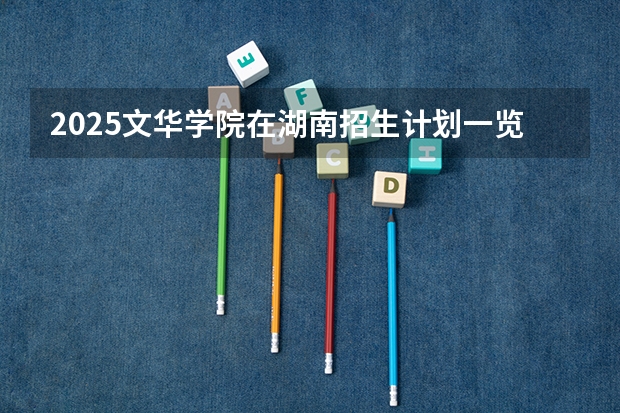 2025文华学院在湖南招生计划一览表