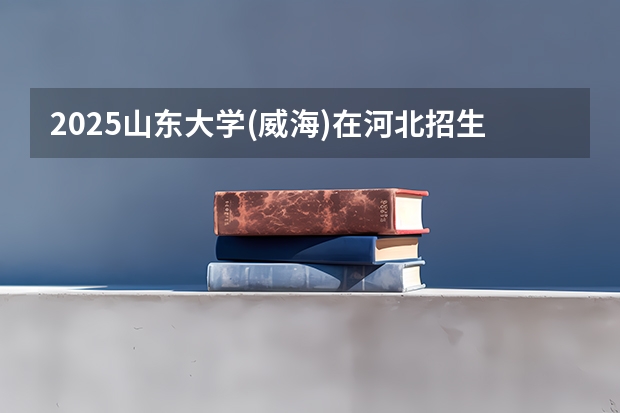 2025山东大学(威海)在河北招生计划一览表