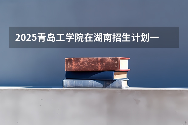 2025青岛工学院在湖南招生计划一览表