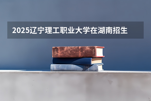 2025辽宁理工职业大学在湖南招生计划一览表