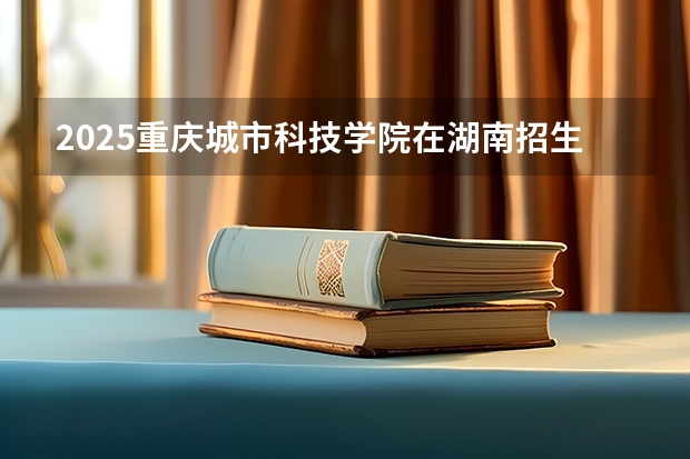 2025重庆城市科技学院在湖南招生计划一览表