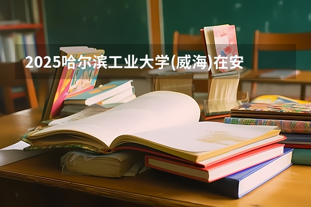 2025哈尔滨工业大学(威海)在安徽招生计划一览表
