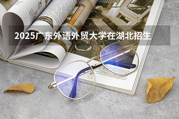 2025广东外语外贸大学在湖北招生计划一览表