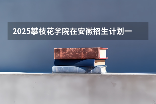 2025攀枝花学院在安徽招生计划一览表