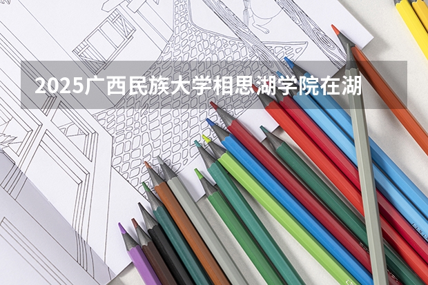 2025广西民族大学相思湖学院在湖北招生计划一览表