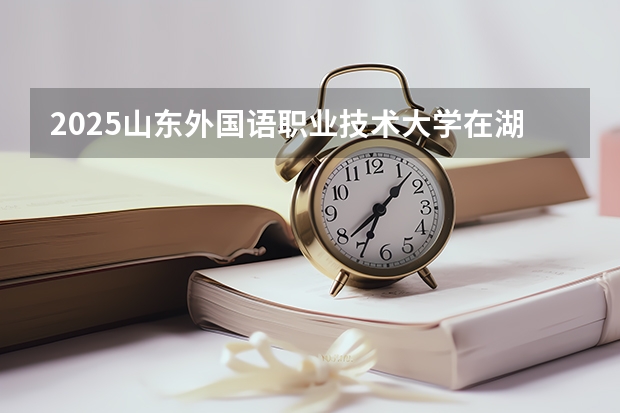 2025山东外国语职业技术大学在湖北招生计划一览表