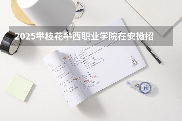 2025攀枝花攀西职业学院在安徽招生计划一览表