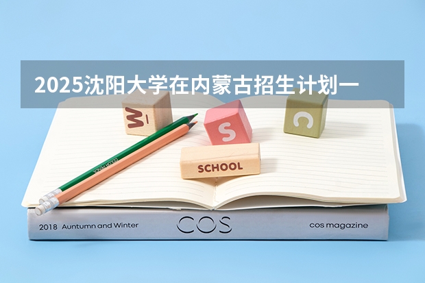 2025沈阳大学在内蒙古招生计划一览表