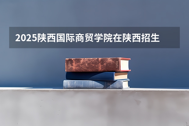 2025陕西国际商贸学院在陕西招生计划一览表