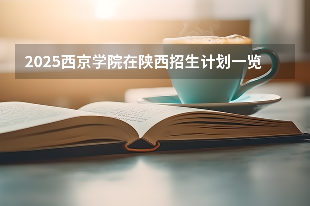 2025西京学院在陕西招生计划一览表
