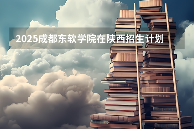 2025成都东软学院在陕西招生计划一览表