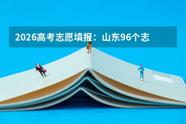 2026高考志愿填报：山东96个志愿的“排兵布阵”与系统实操