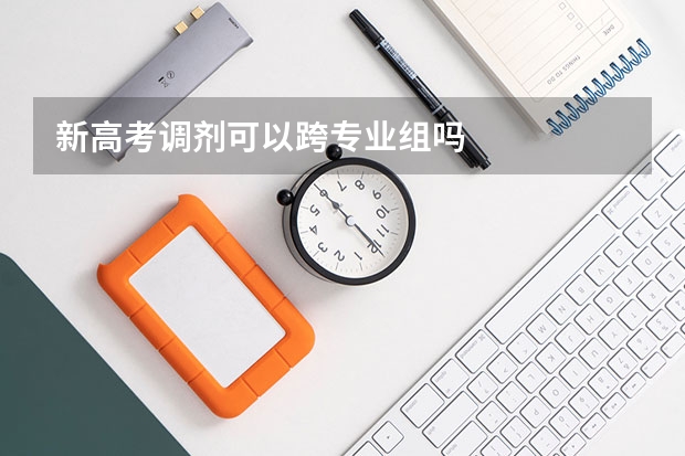 新高考调剂可以跨专业组吗
