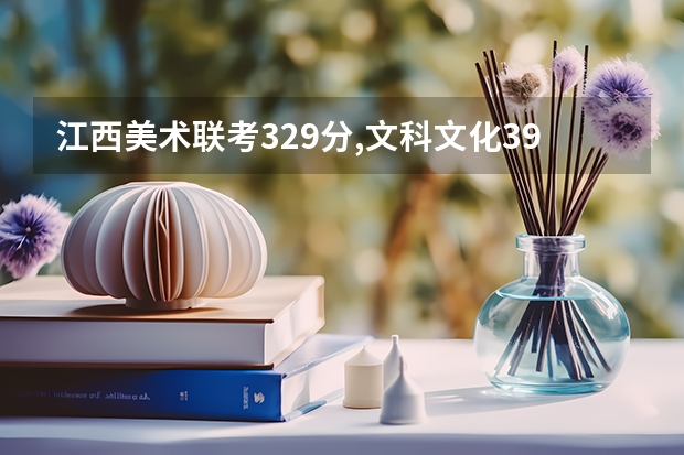 江西美术联考329分,文科文化397分能读什么学校？