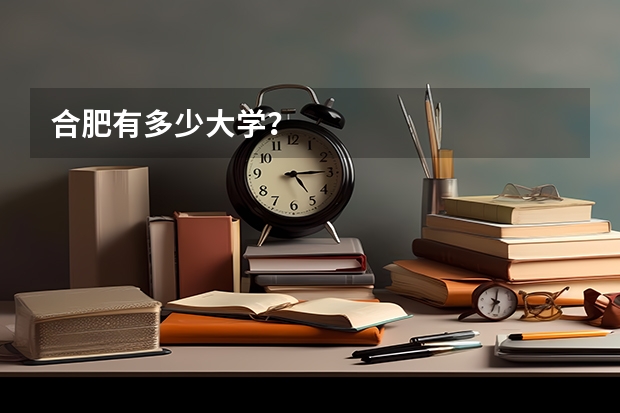 合肥有多少大学？