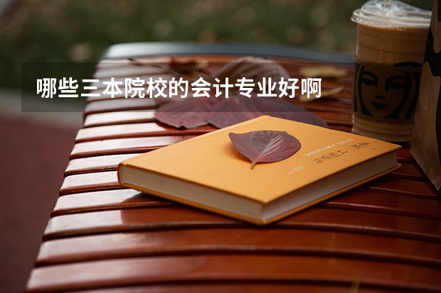 哪些三本院校的会计专业好啊