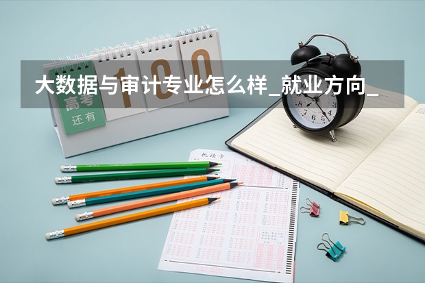 大数据与审计专业怎么样_就业方向_主要学什么