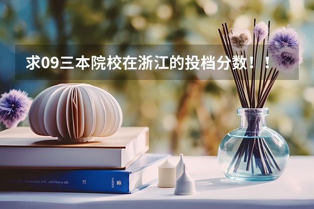 求09三本院校在浙江的投档分数！！急！！！（三本的分数线？）