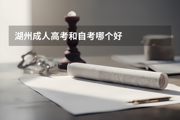湖州成人高考和自考哪个好