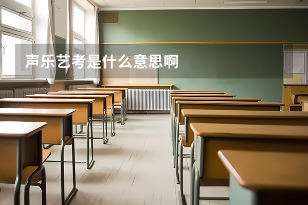 声乐艺考是什么意思啊