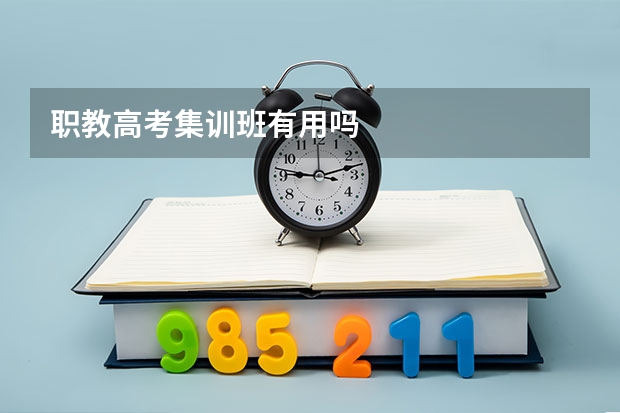 职教高考集训班有用吗